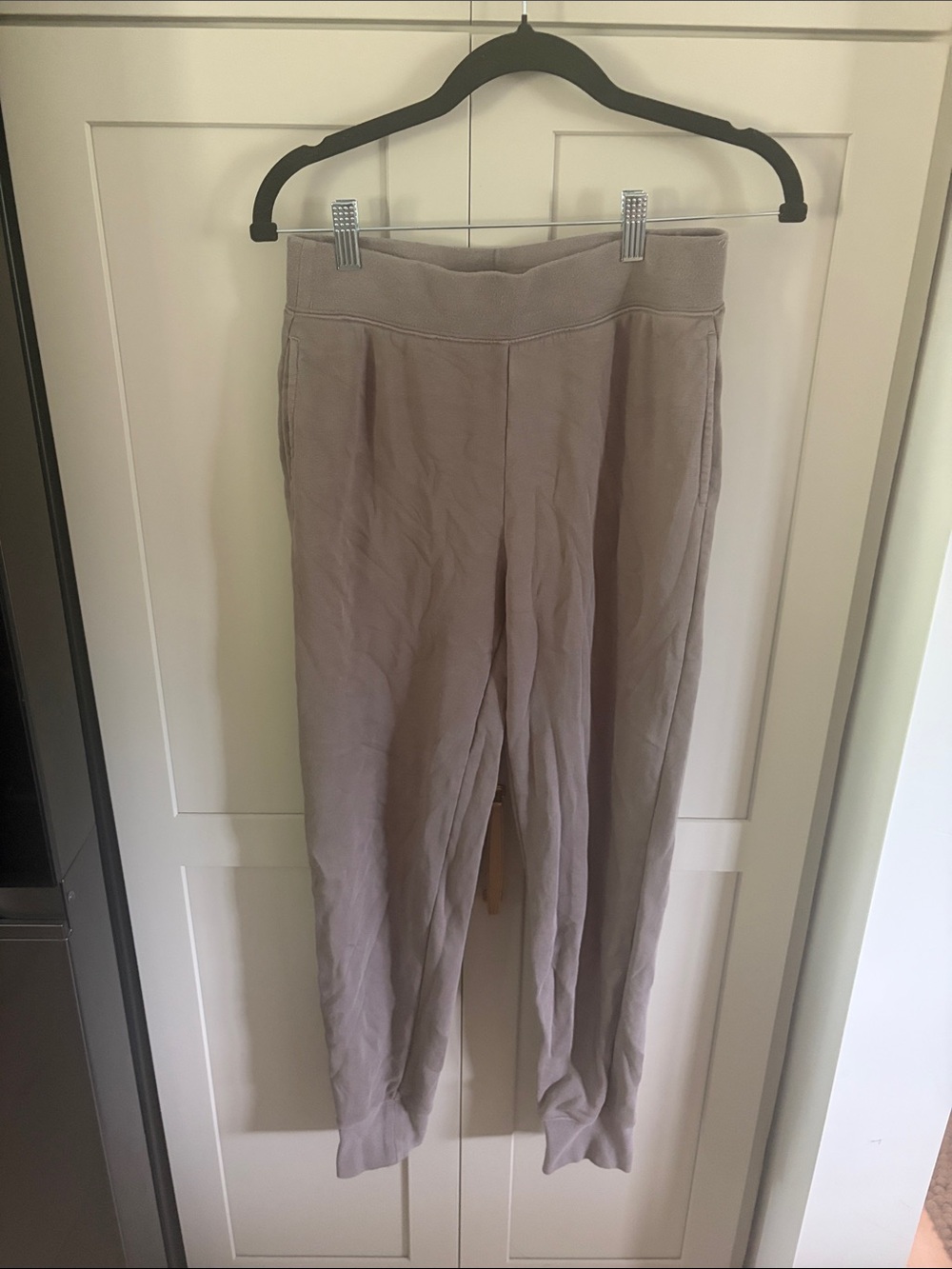 TNA Light Taupe Jogger Pants
